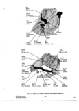 Next Page - Parts and Accessories Catalog 31 January 1964